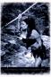 Preview: Set: Eau de Parfum "TEMPTATION" by Madeleine Le Roy + Kalender 2025
