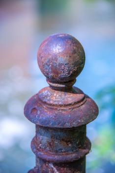 Rost