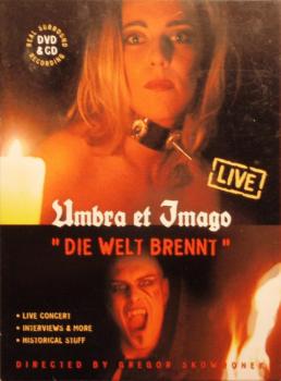 Mea Culpa / Die Welt brennt - 2013