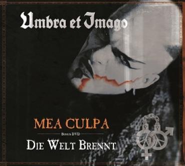 Mea Culpa / Die Welt brennt - 2013