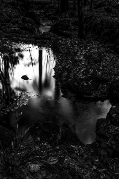 Lichtblick